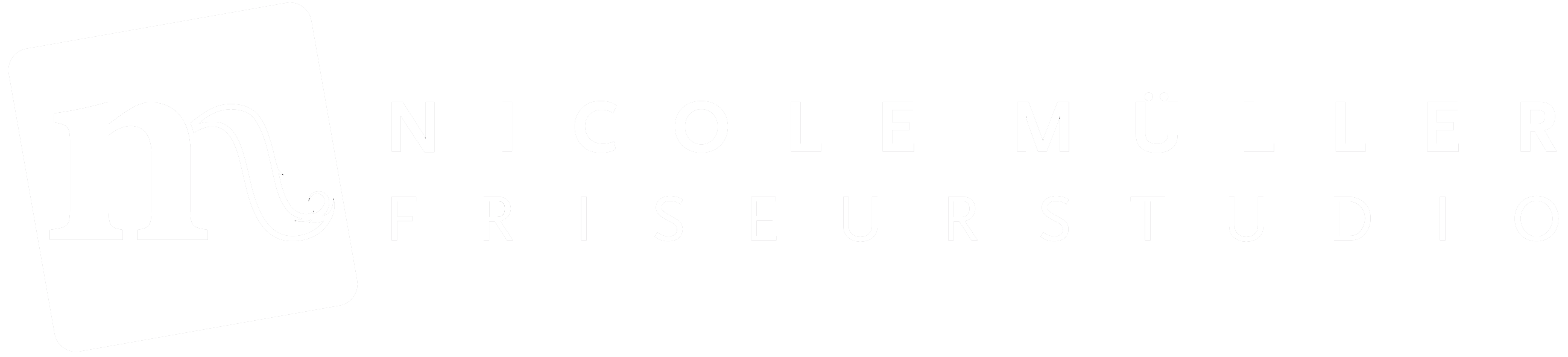 light logo